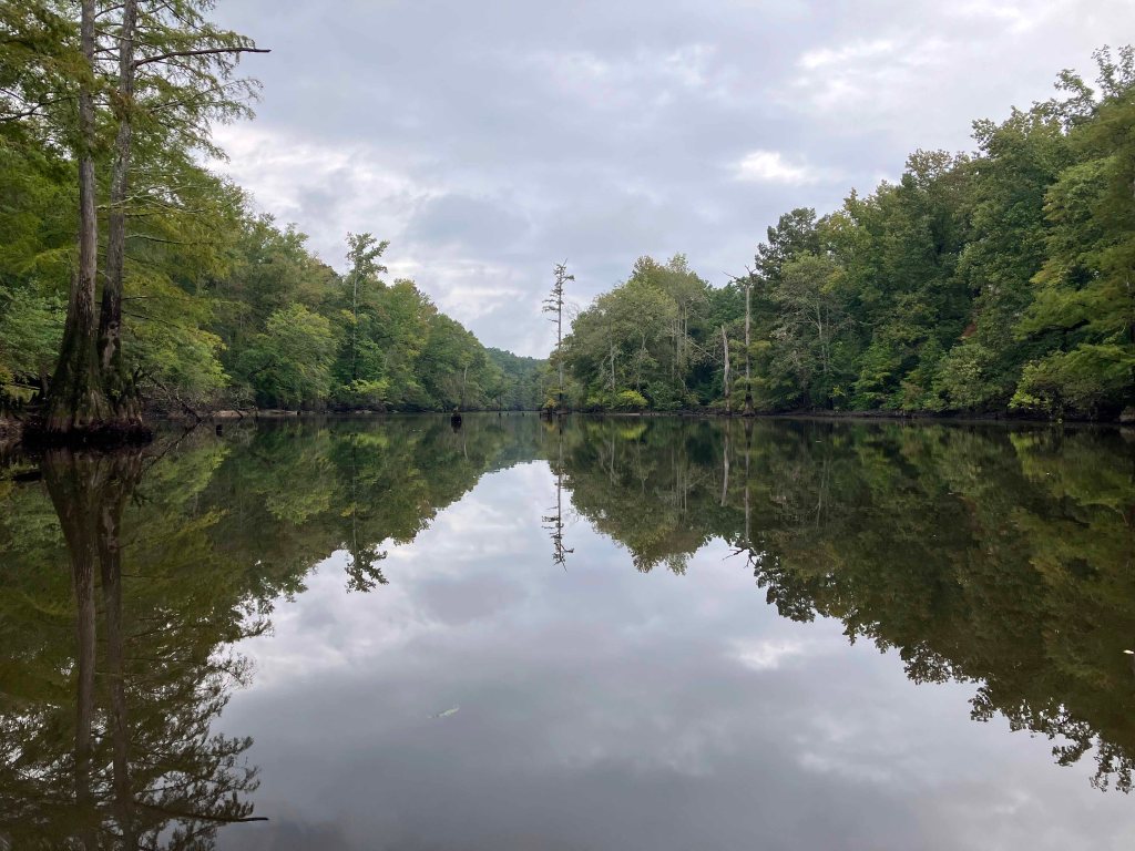 kayak scenery picture Corney Bayou, Hog Pen Landing, Lousiana www.SawdustRiver.com