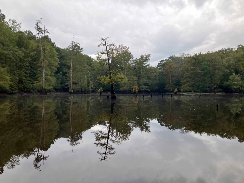 kayak scenery picture Corney Bayou, Hog Pen Landing, Lousiana www.SawdustRiver.com