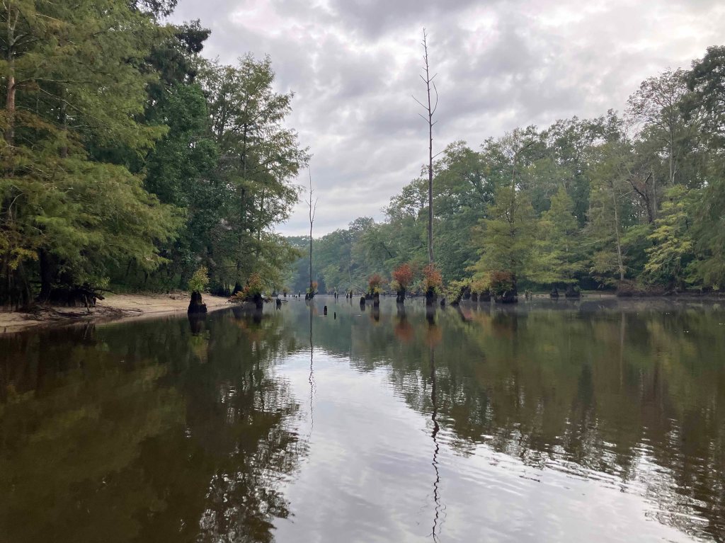 kayak scenery picture Corney Bayou, Hog Pen Landing, Lousiana www.SawdustRiver.com