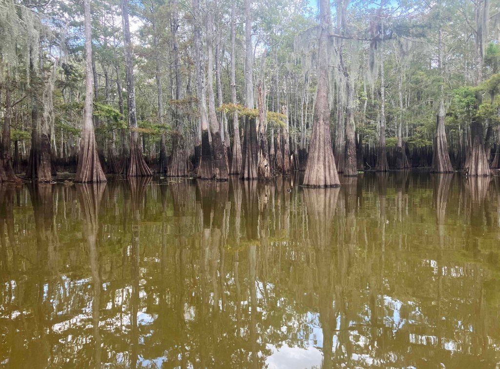 kayak scenery picture Atcharalaya Sandy Cove Launch www.SawdustRiver.com