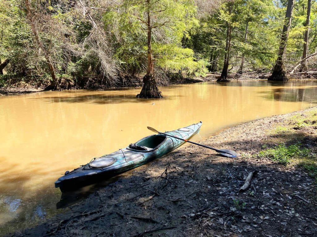 kayak scenery picture D'Arbonne Bayou, Gills Ferry Launch www.SawdustRiver.com