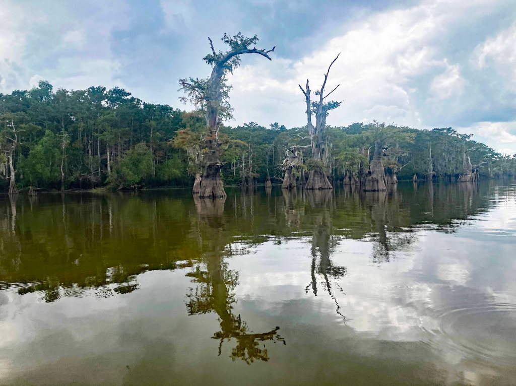 kayak scenery picture Atcharalaya Sandy Cove Launch www.SawdustRiver.com