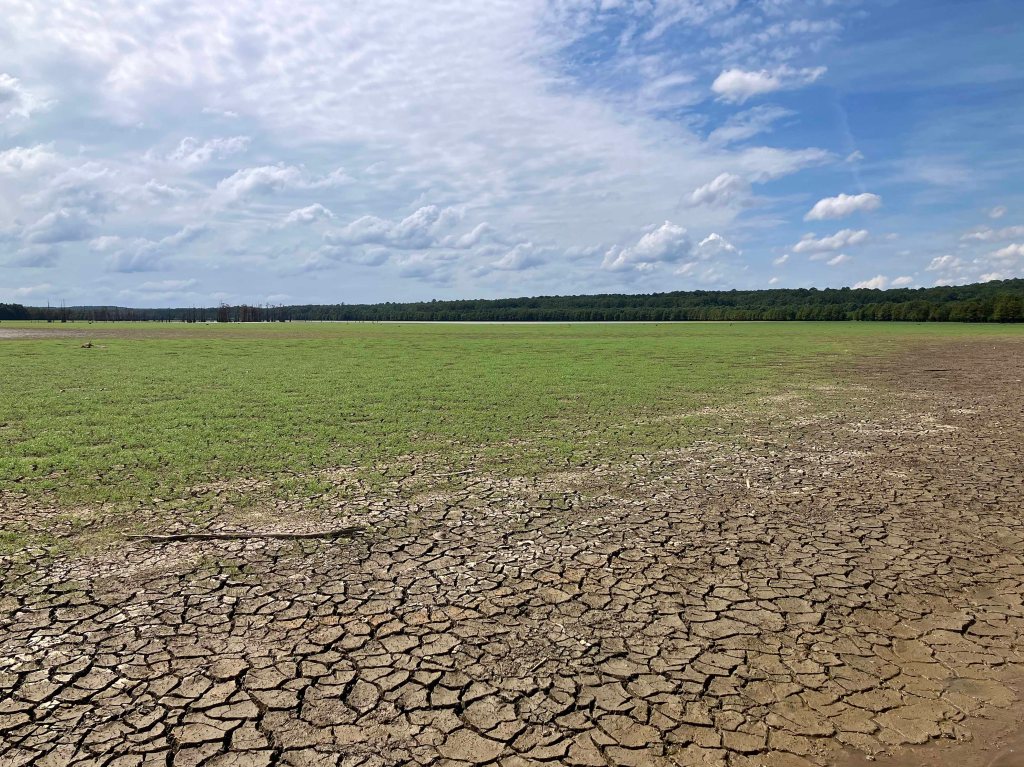 kayak scenery picture D'Arbonne NWR, Hollands Bluff B www.SawdustRiver.com