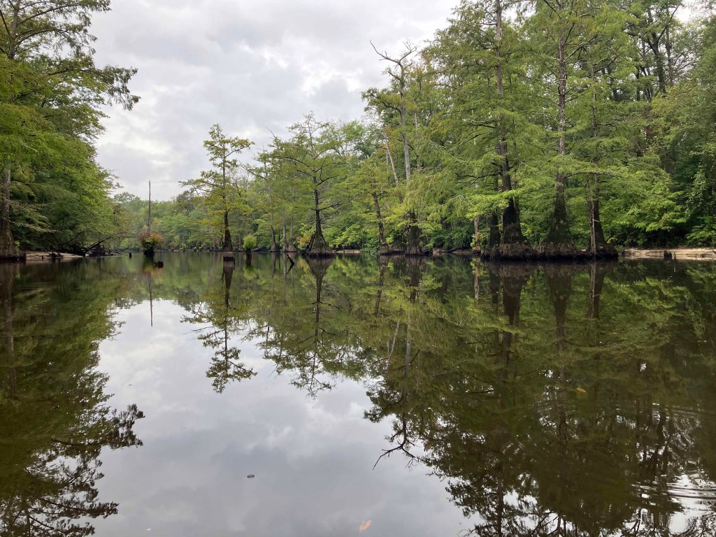 kayak scenery picture Corney Bayou, Hog Pen Landing, Lousiana www.SawdustRiver.com
