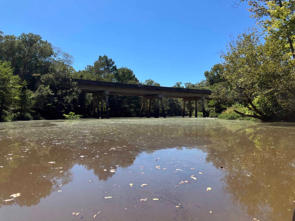 kayak scenery picture D'Arbonne Bayou, Gills Ferry Launch www.SawdustRiver.com