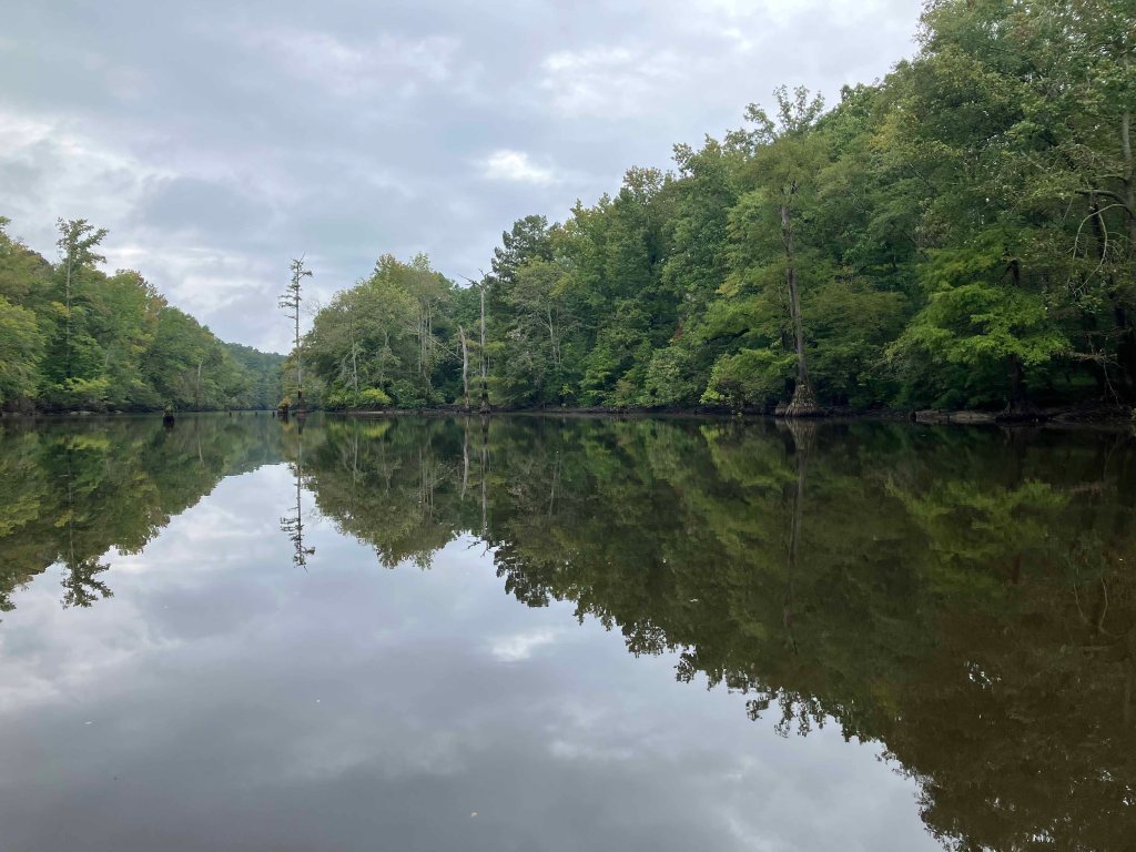 kayak scenery picture Corney Bayou, Hog Pen Landing, Lousiana www.SawdustRiver.com
