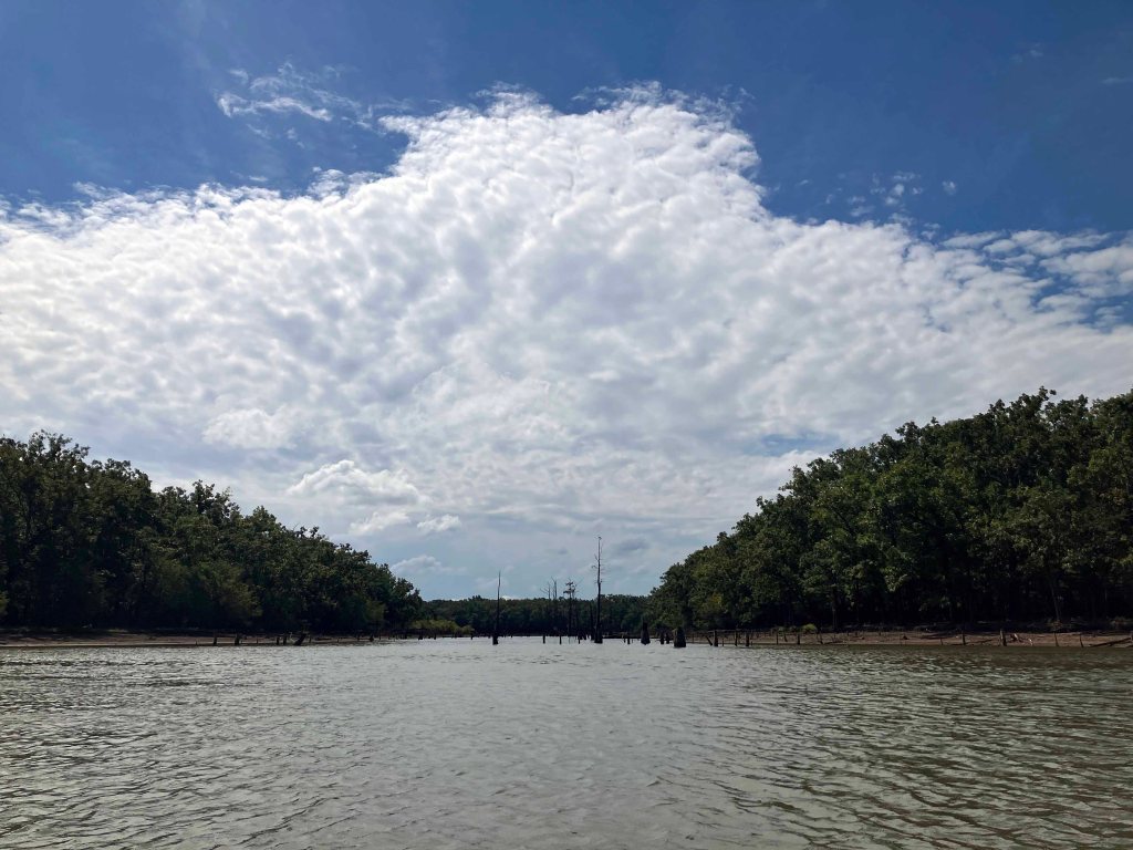 kayak scenery picture D'Arbonne NWR, Hollands Bluff B www.SawdustRiver.com