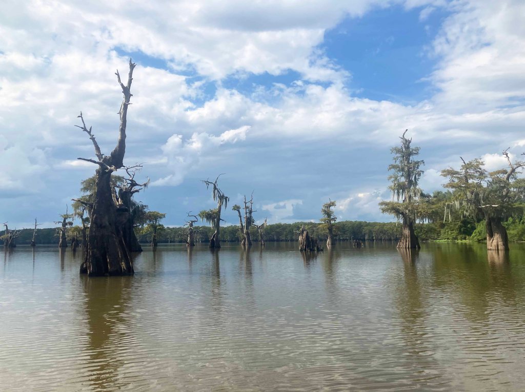 kayak scenery picture Atcharalaya Sandy Cove Launch www.SawdustRiver.com