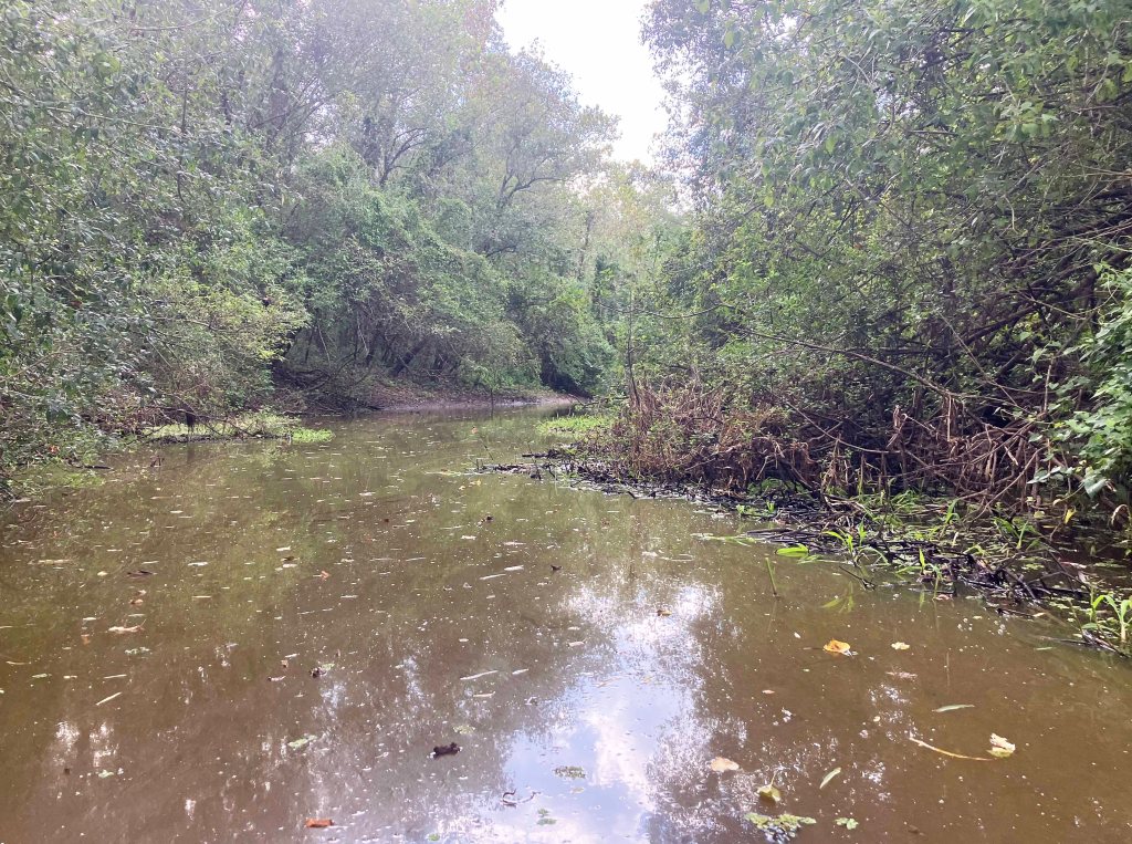 kayak scenery picture Atcharalaya Sandy Cove Launch www.SawdustRiver.com