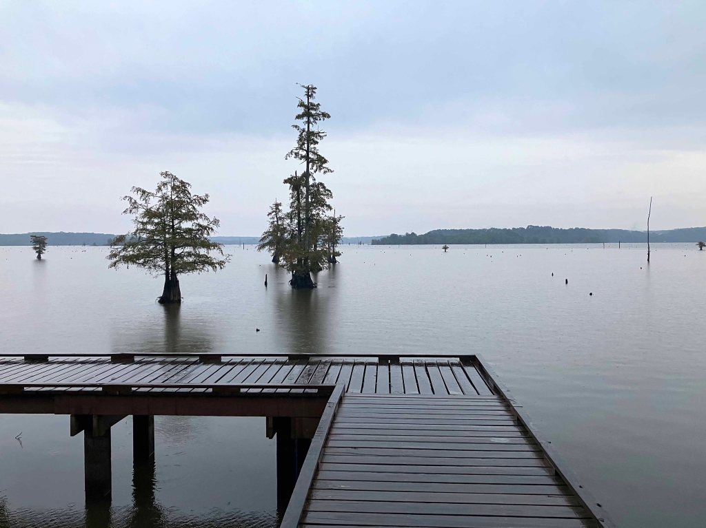 kayak scenery picture Corney Bayou, Hog Pen Landing, Lousiana www.SawdustRiver.com