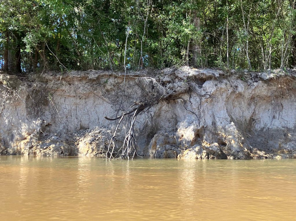 kayak scenery picture Village Creek (state park), Neches River, www.SawdustRiver.com
