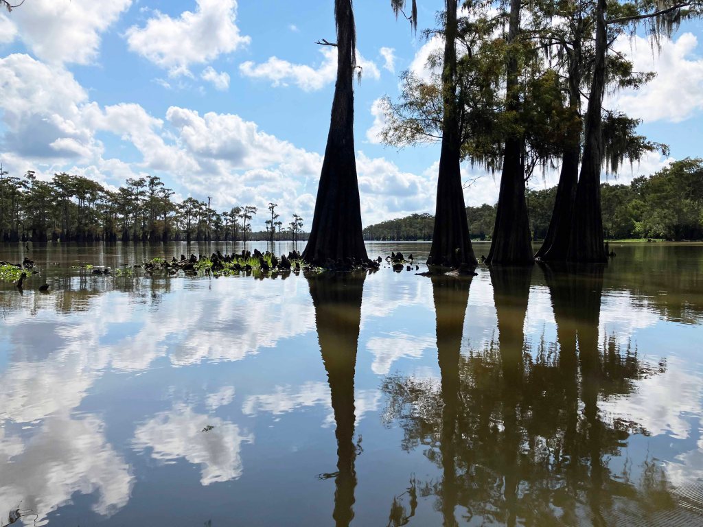 kayak scenery picture Atchafalaya Bayou Benoit Launch www.SawdustRiver.com