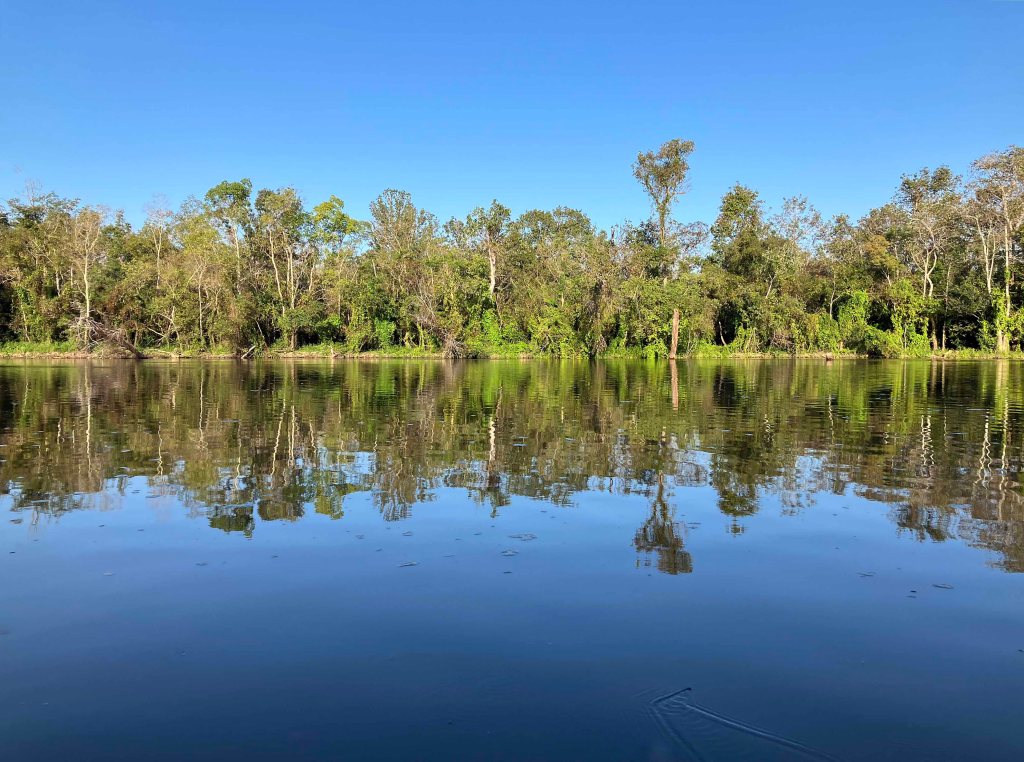 kayak paddle scenery picture Sabine Island WMA, Cross Bayou, Old RIver, Nibletts Bluff www.SawdustRiver.com
