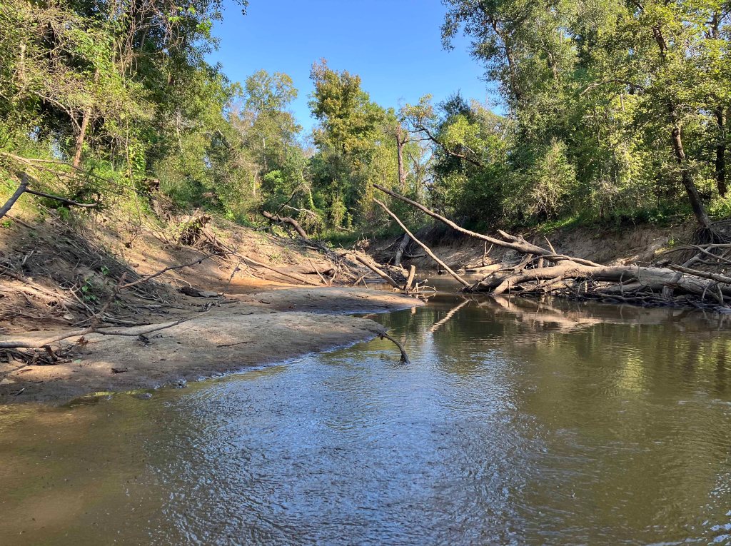 kayak paddle scenery picture Sabine Island WMA, Cross Bayou, Old RIver, Nibletts Bluff www.SawdustRiver.com