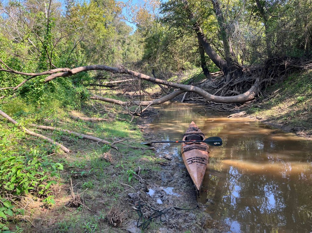 kayak paddle scenery picture Sabine Island WMA, Cross Bayou, Old RIver, Nibletts Bluff www.SawdustRiver.com