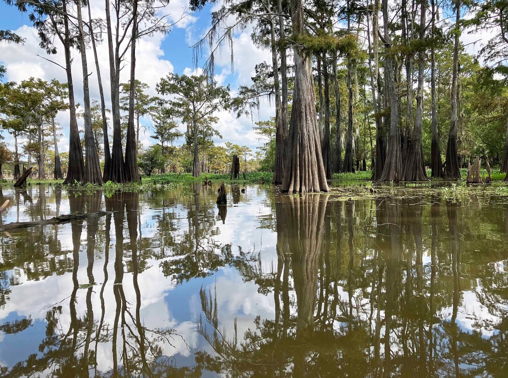 kayak scenery picture Atchafalaya Bayou Benoit Launch www.SawdustRiver.com