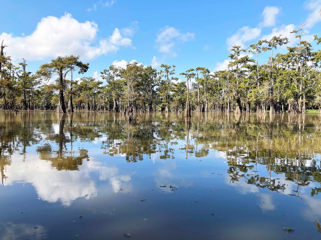 kayak scenery picture Atchafalaya Bayou Benoit Launch www.SawdustRiver.com