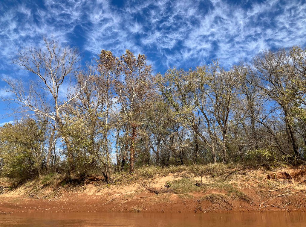 kayak scenery picture Washita River, Tishomingo WMA, Rattlesnake River Access www.SawdustRiver.com