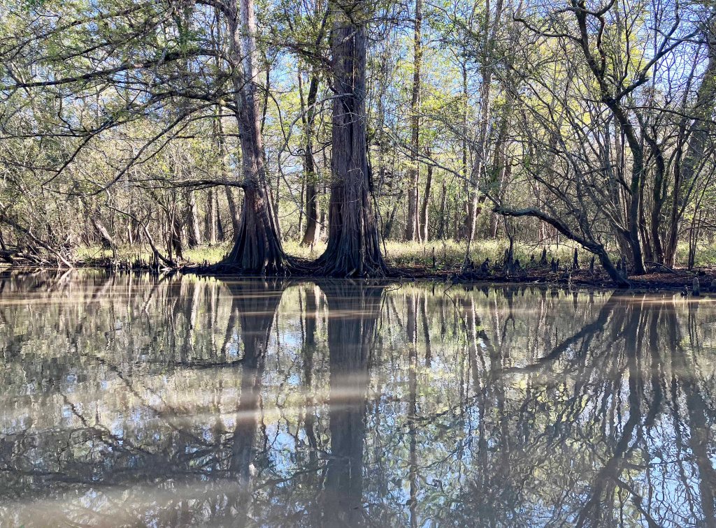 kayak scenery picture Atchafalaya NWR Sherburne WMA I-10 Launch B www.SawdustRiver.com