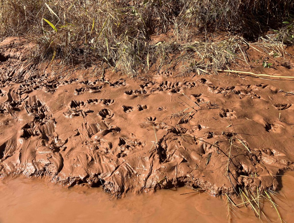 kayak scenery picture Washita River, Tishomingo, Hwy 199 Launch www.SawdustRiver.com