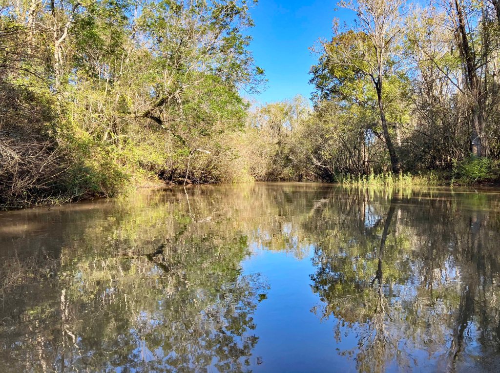 kayak scenery picture Atchafalaya NWR Sherburne WMA I-10 Launch B www.SawdustRiver.com