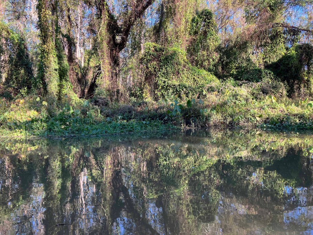 kayak scenery picture Atchafalaya Doiron's Landing www.SawdustRiver.com