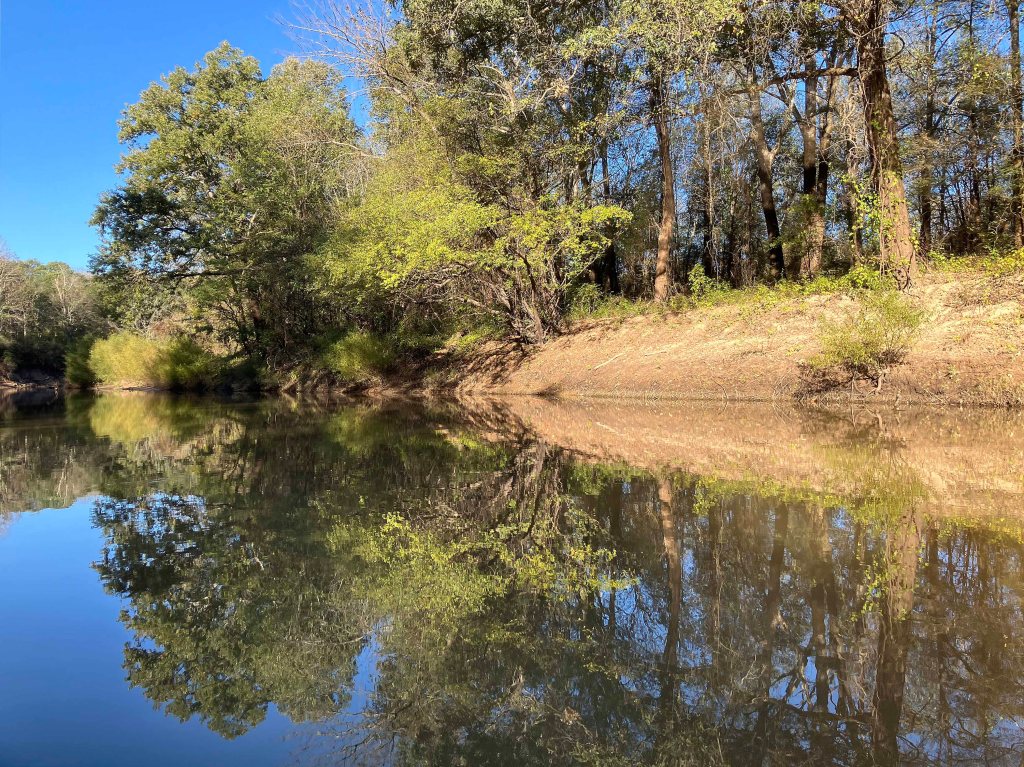 kayak scenery picture Sabine River, Hwy 14 Launch, Tyler www.SawdustRiver.com