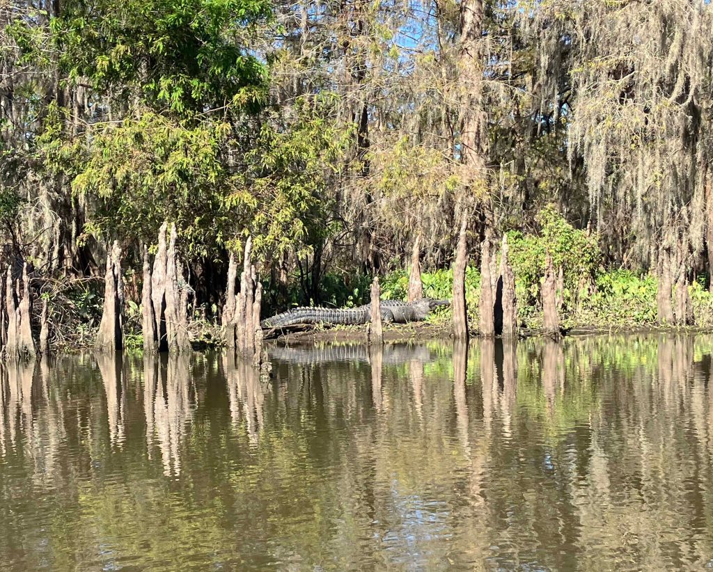 kayak scenery picture Atchafalaya Doiron's Landing www.SawdustRiver.com