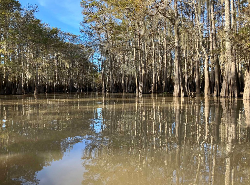 kayak scenery picture Atchafalaya, Sandy Cove, Buffalo Cove, Bayou Gravenberg www.SawdustRiver.com
