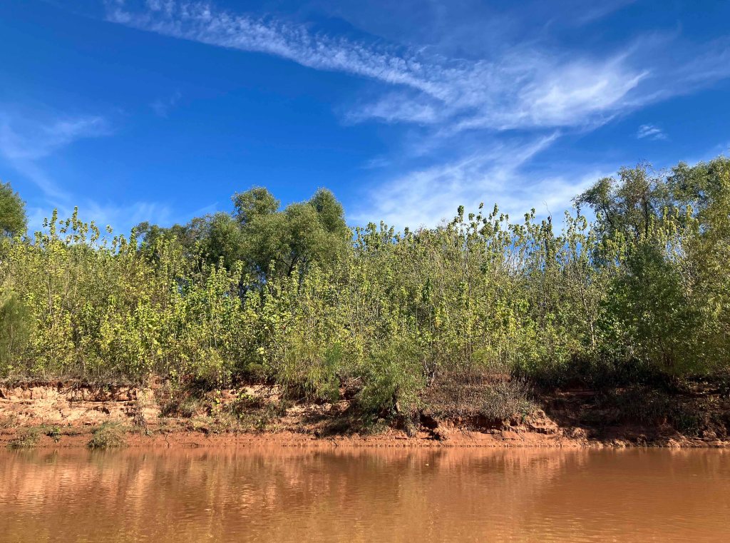 kayak scenery picture Washita River, Tishomingo, Hwy 199 Launch www.SawdustRiver.com