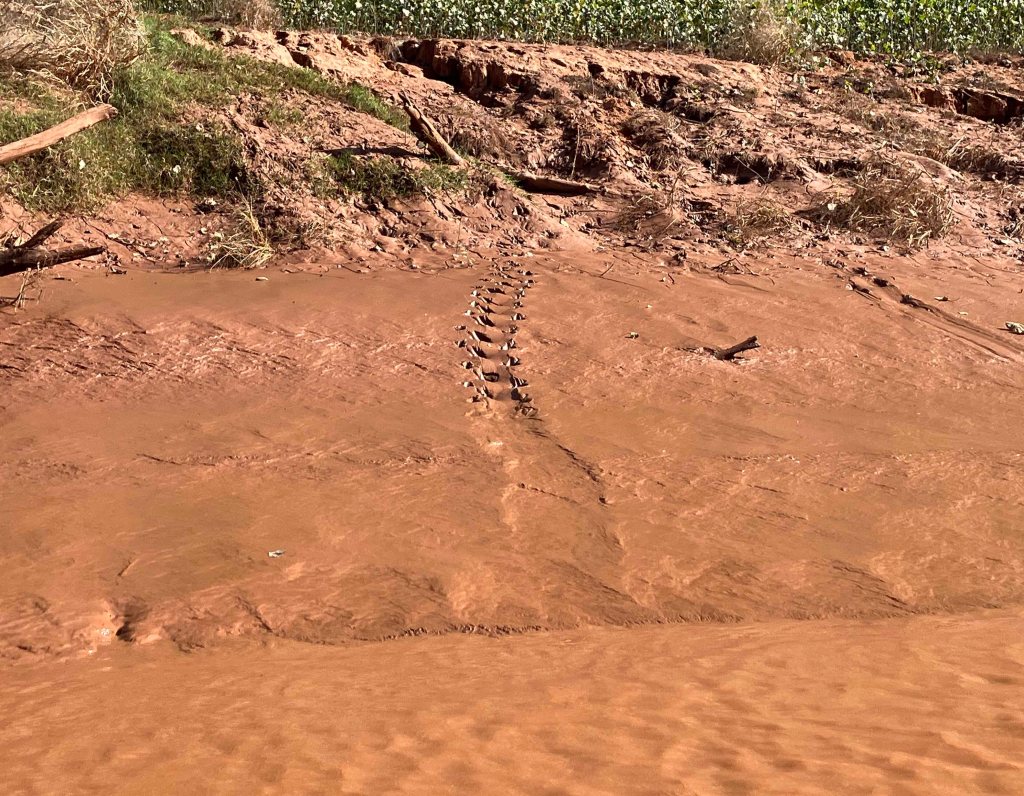 kayak scenery picture Washita River, Tishomingo WMA, Rattlesnake River Access www.SawdustRiver.com