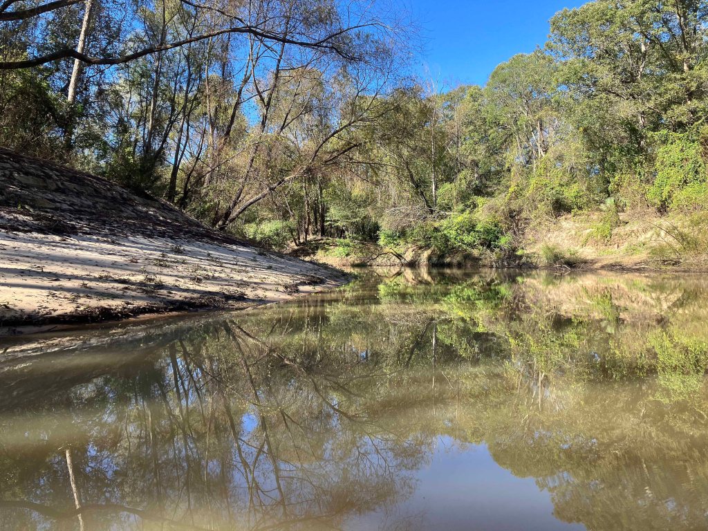 kayak scenery picture Sabine River, Hwy 14 Launch, Tyler www.SawdustRiver.com