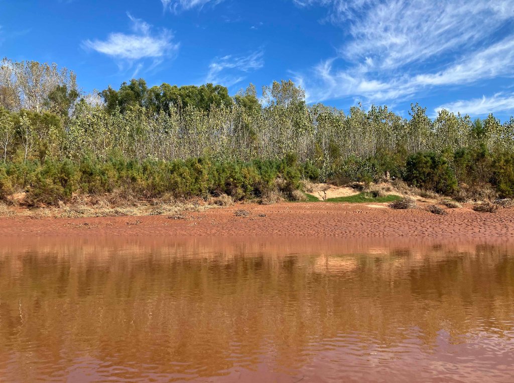 kayak scenery picture Washita River, Tishomingo WMA, Rattlesnake River Access www.SawdustRiver.com