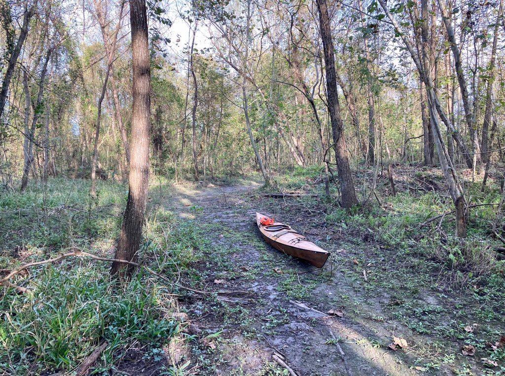 kayak scenery picture Atchafalaya, Sandy Cove, Buffalo Cove, Bayou Gravenberg www.SawdustRiver.com