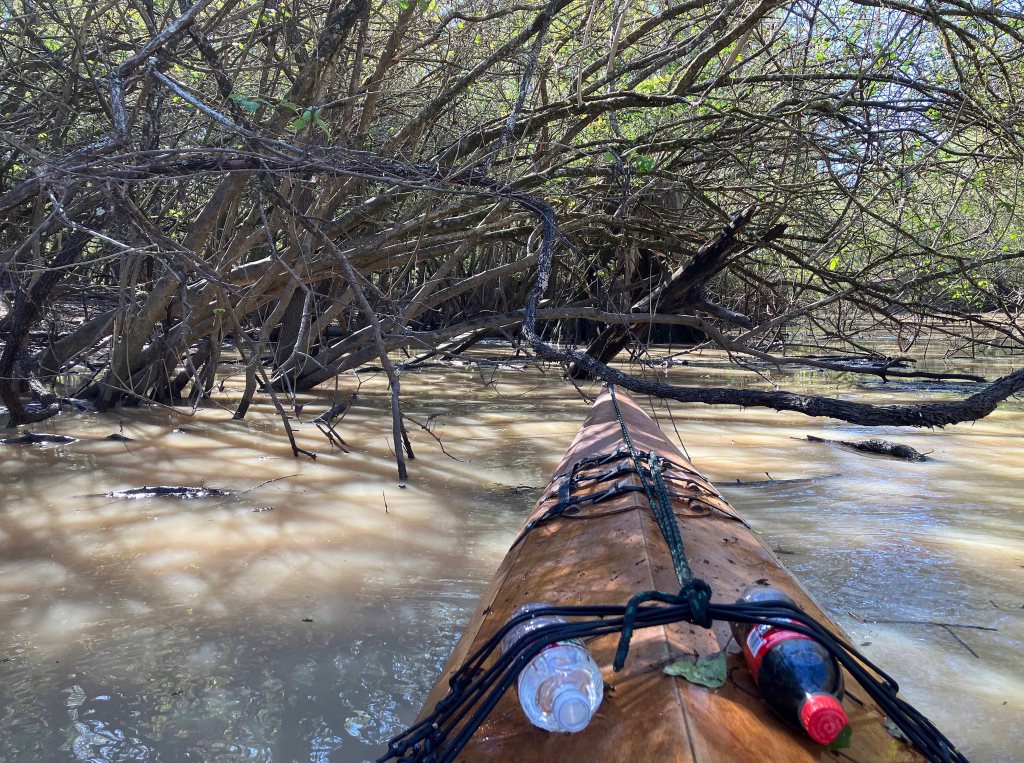 kayak scenery picture Atchafalaya NWR Sherburne WMA I-10 Launch B www.SawdustRiver.com