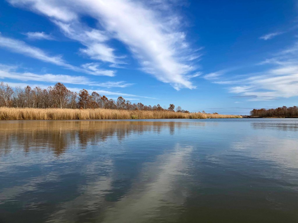 kayak scenery picture Sequoyah NWR, Oklahoma www.SawdustRiver.com