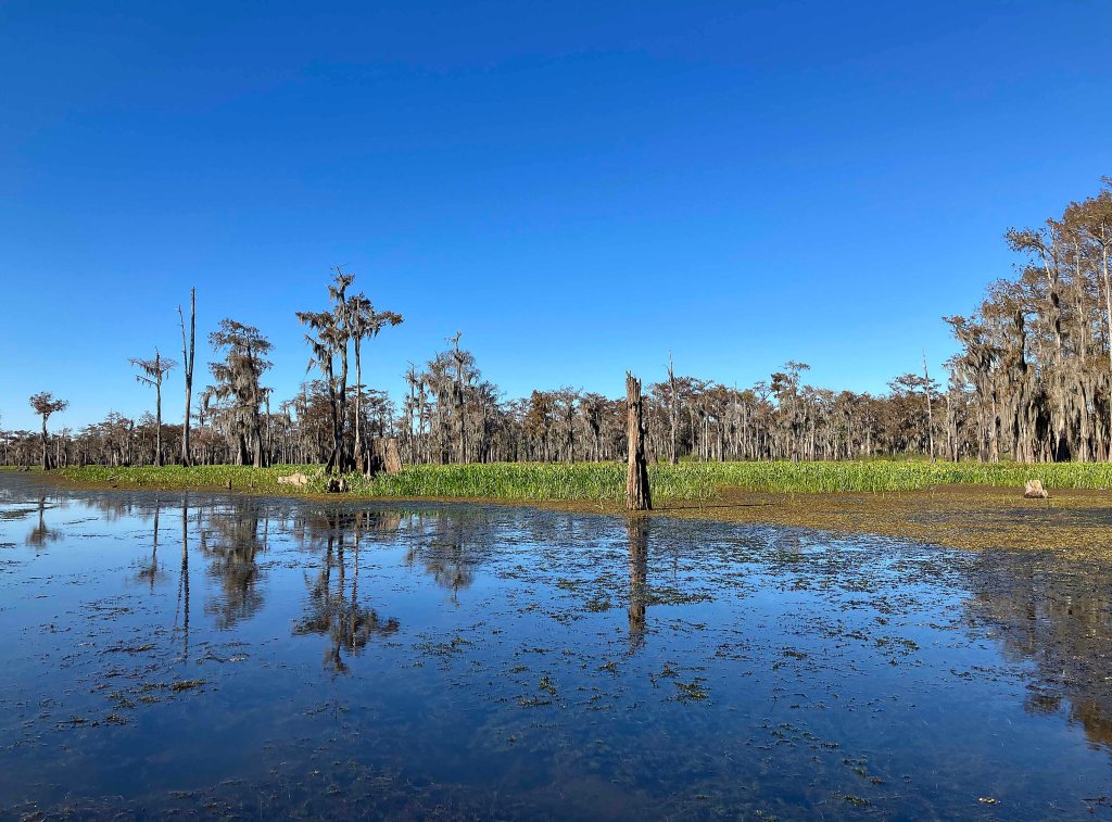 kayak scenery picture Atchafalaya, Sandy Cove, Buffalo Cove, Bayou Gravenburg www.SawdustRiver.com