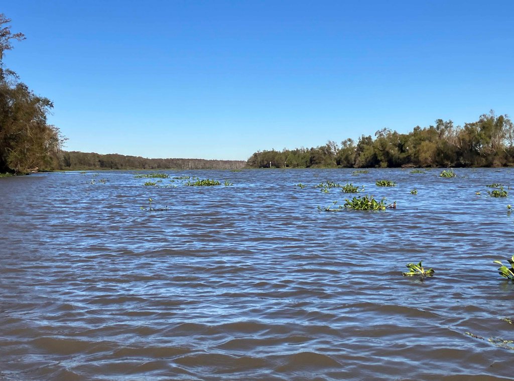 kayak scenery picture Atchafalaya, Belle River Boat Launch www.SawdustRiver.com