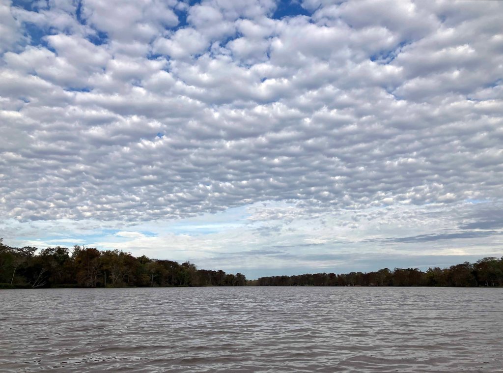 kayak scenery picture Atchafalaya, Lake Fausse Point SP Louisiana www.SawdustRiver.com