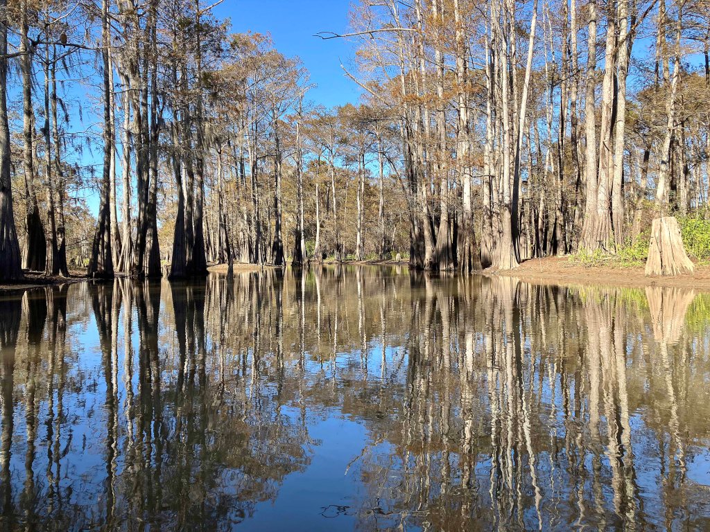 kayak scenery picture Atchafalaya, Sandy Cove, Buffalo Cove, Bayou Gravenburg www.SawdustRiver.com