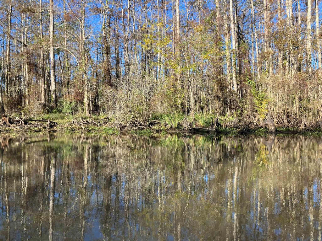 kayak scenery picture Atchafalaya, Belle River Boat Launch www.SawdustRiver.com