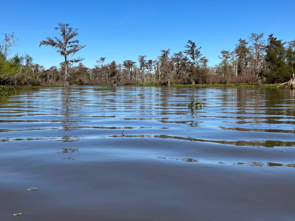 kayak scenery picture Atchafalaya, Belle River Boat Launch www.SawdustRiver.com