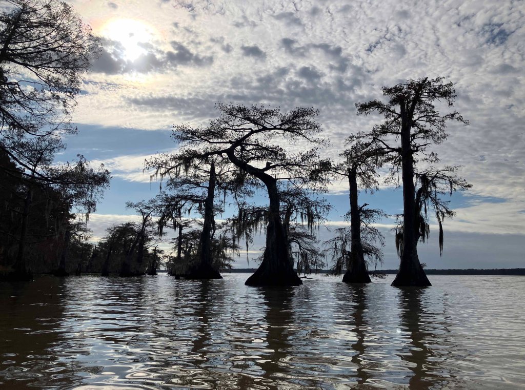 kayak scenery picture Atchafalaya, Lake Fausse Point SP Louisiana www.SawdustRiver.com