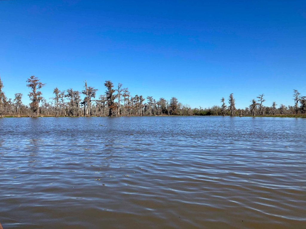 kayak scenery picture Atchafalaya, Belle River Boat Launch www.SawdustRiver.com