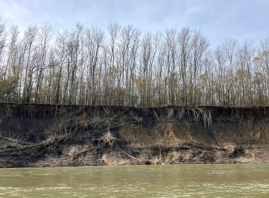 kayak scenery picture Trinity River, Highway 287 Ramp, Corsicana www.SawdustRiver.com