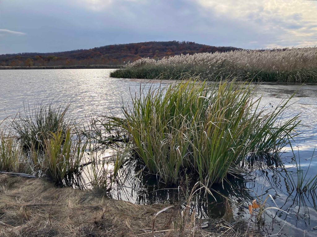 kayak scenery picture Sequoyah NWR, Oklahoma www.SawdustRiver.com