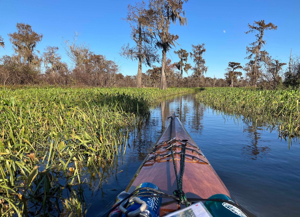 kayak scenery picture Atchafalaya, Sandy Cove, Buffalo Cove, Bayou Gravenburg www.SawdustRiver.com