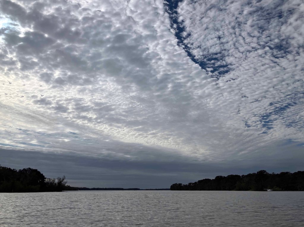 kayak scenery picture Atchafalaya, Lake Fausse Point SP Louisiana www.SawdustRiver.com