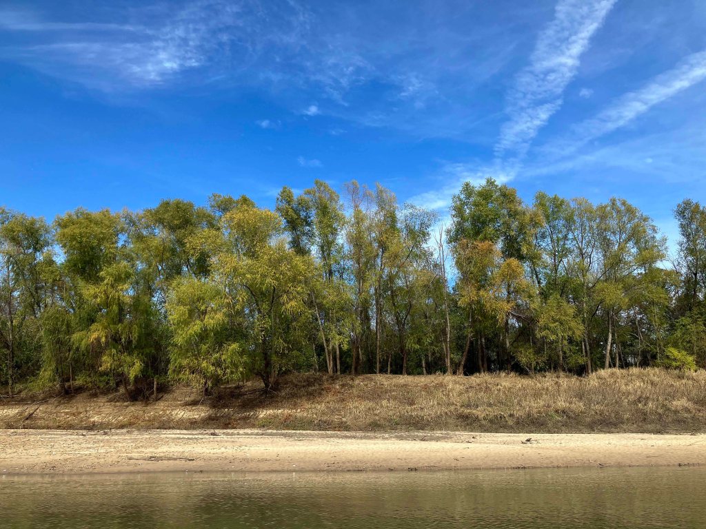 kayak scenery picture Trinity River, Highway 287 Ramp, Corsicana www.SawdustRiver.com