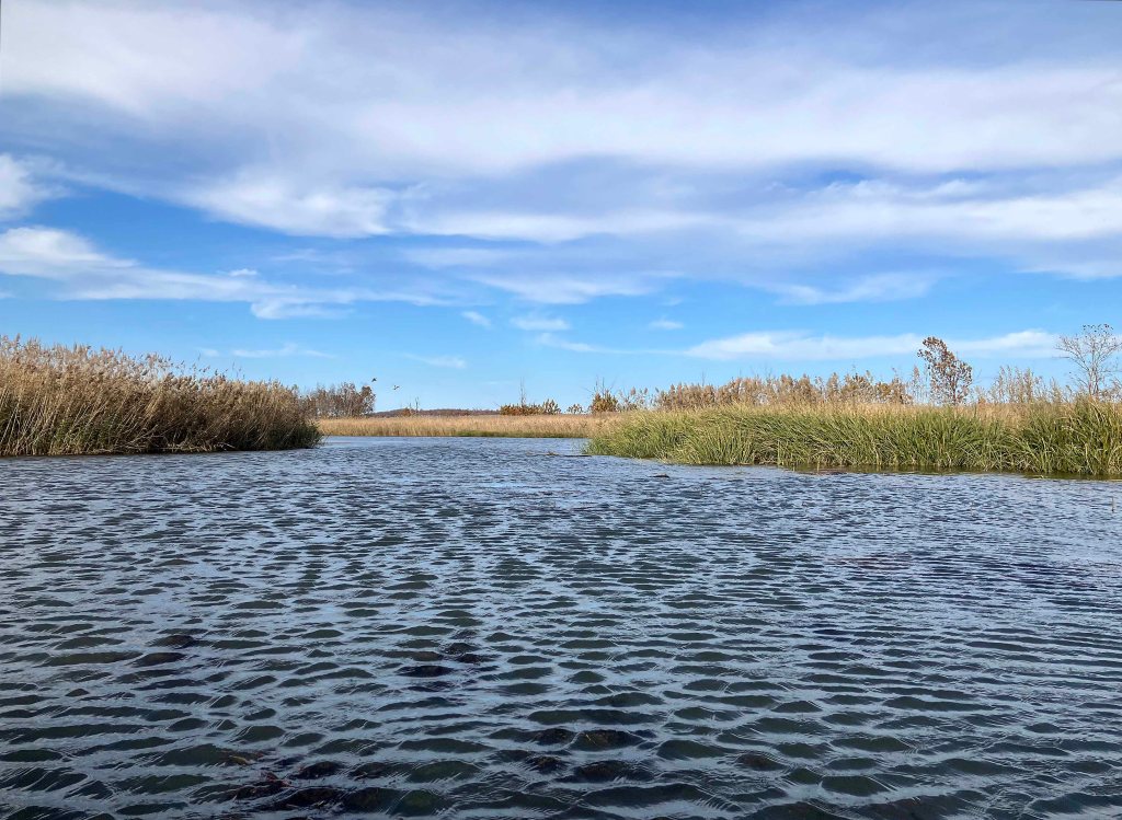 kayak scenery picture Sequoyah NWR, Oklahoma www.SawdustRiver.com